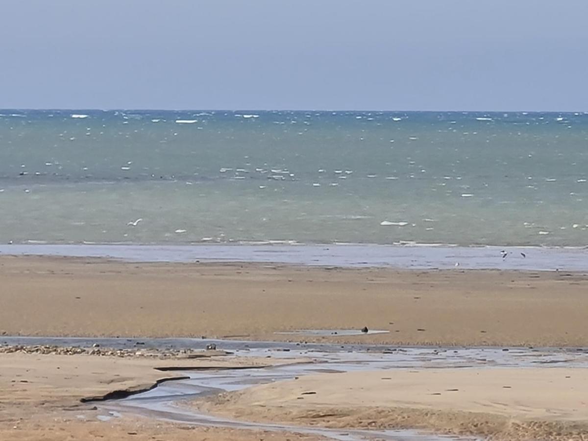 Les Pieds Dans L'Eau - Acces Direct A La Plage Bernières-sur-Mer Eksteriør billede